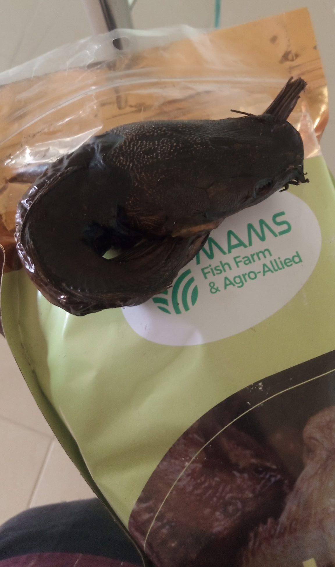 IMG_20251105_101351_956